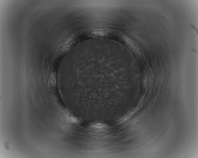 X0000097760467200803141727