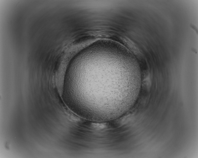 X0000097760469200803141727