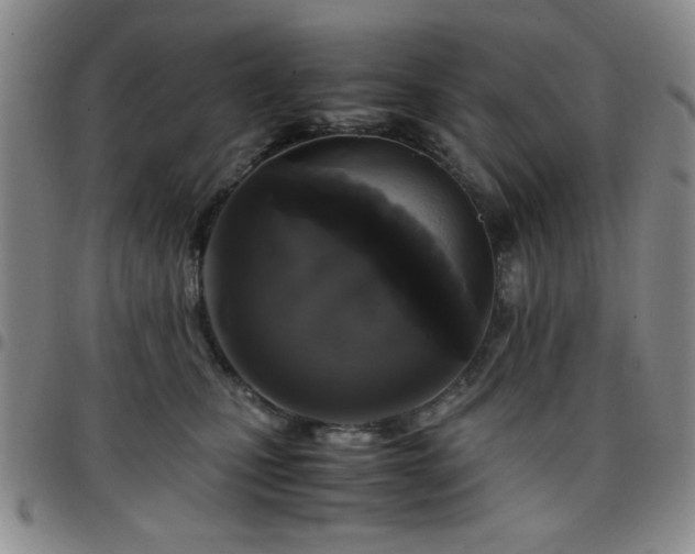 X0000097760471200803141727