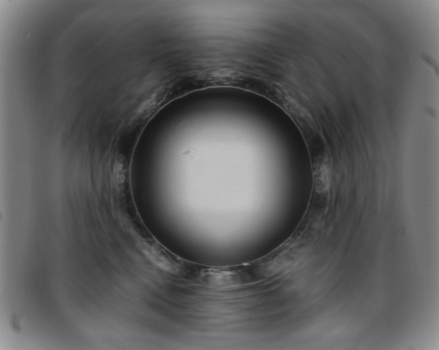 X0000097760472200803141727