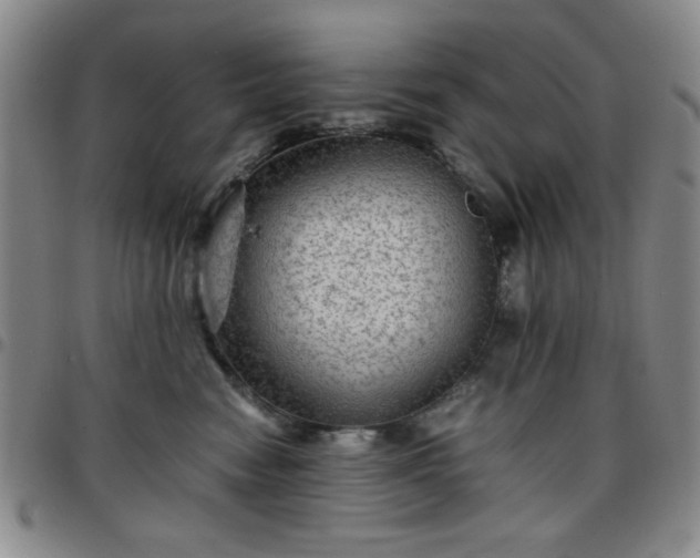 X0000097760474200803141727