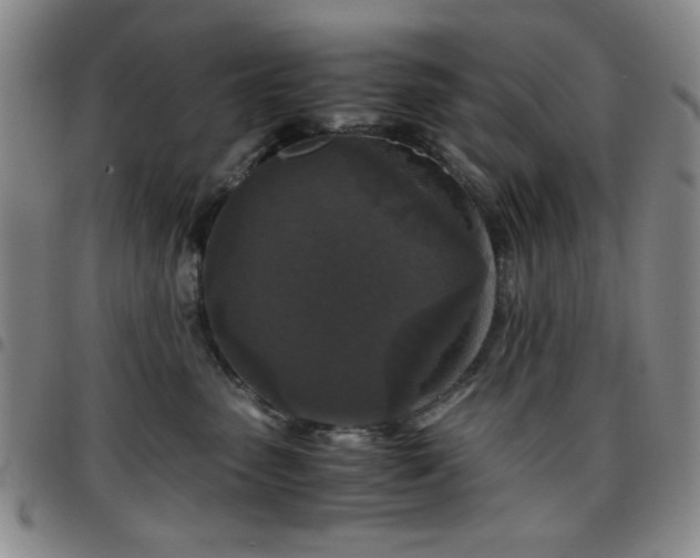 X0000097760475200803141727