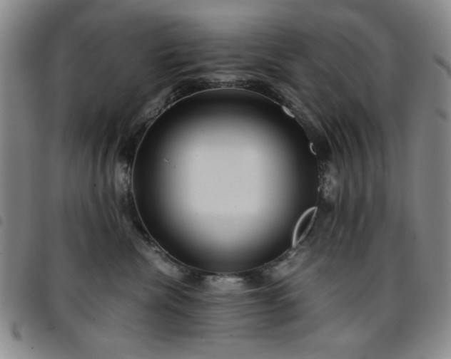 X0000097760476200803141727