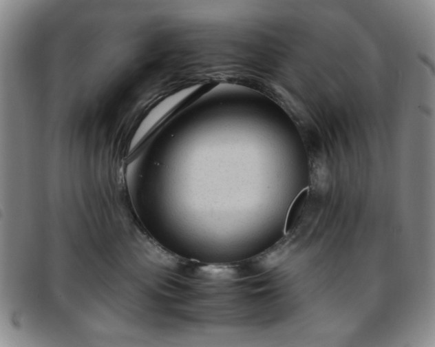 X0000097760477200803141727