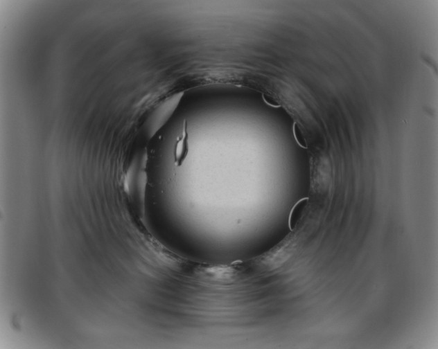 X0000097760478200803141727