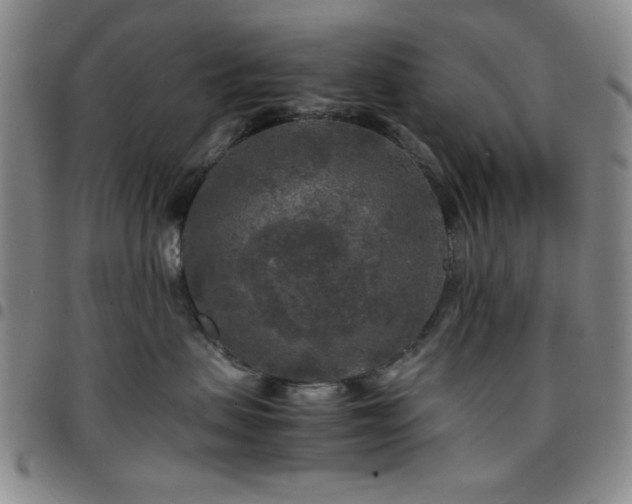 X0000097760479200803141727