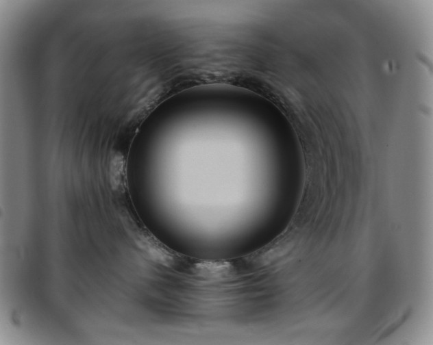 X0000097760480200803141727