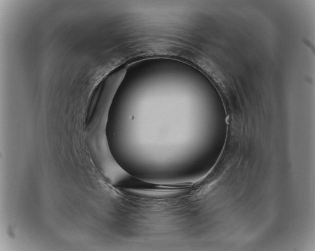 X0000097760481200803141726