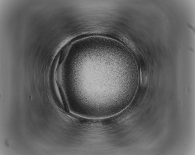 X0000097760483200803141726