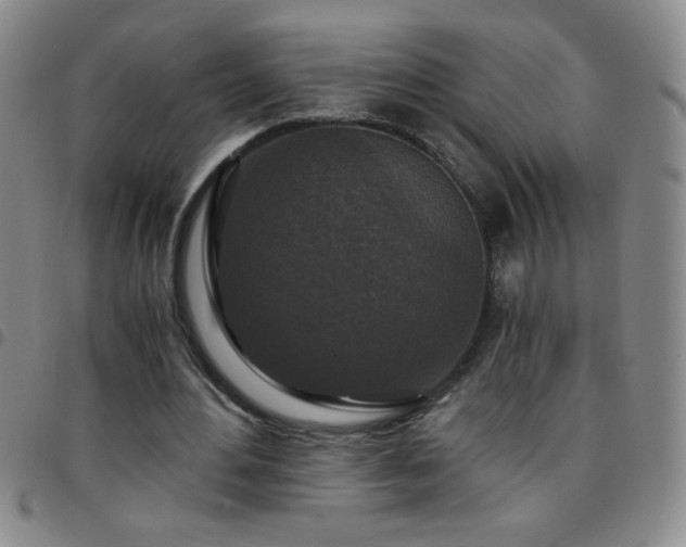 X0000097760484200803141726