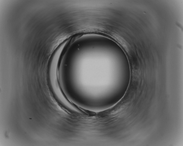 X0000097760485200803141726