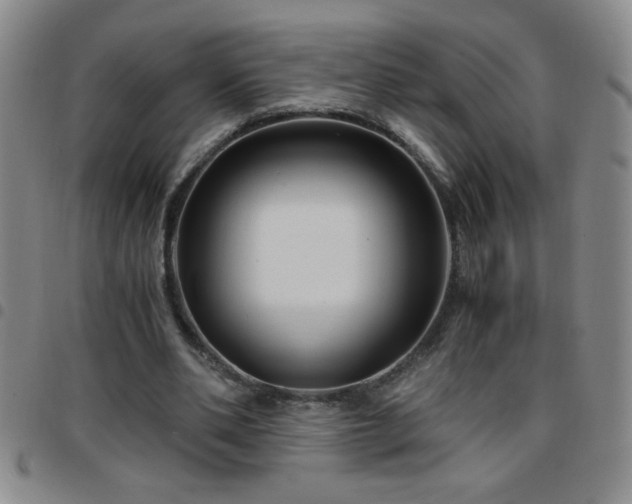 X0000097760486200803141726