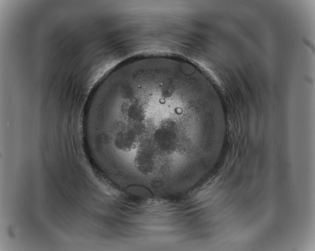 X0000097760487200803141726