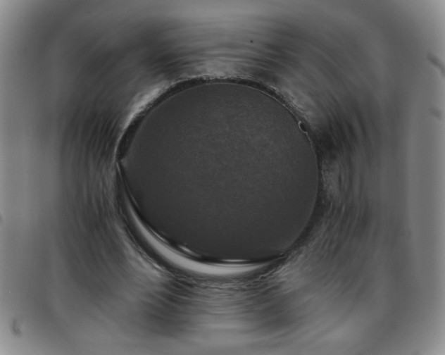 X0000097760488200803141726