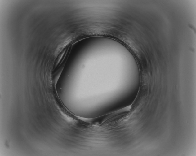 X0000097760489200803141726