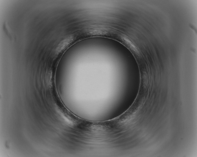 X0000097760490200803141726