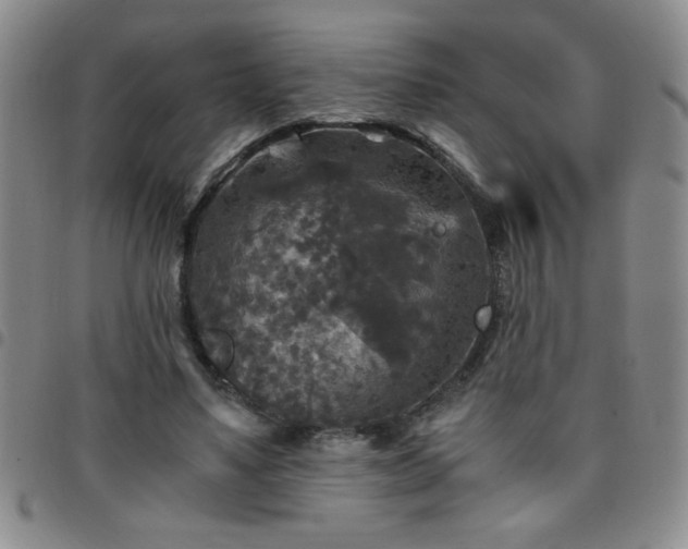 X0000097760491200803141726