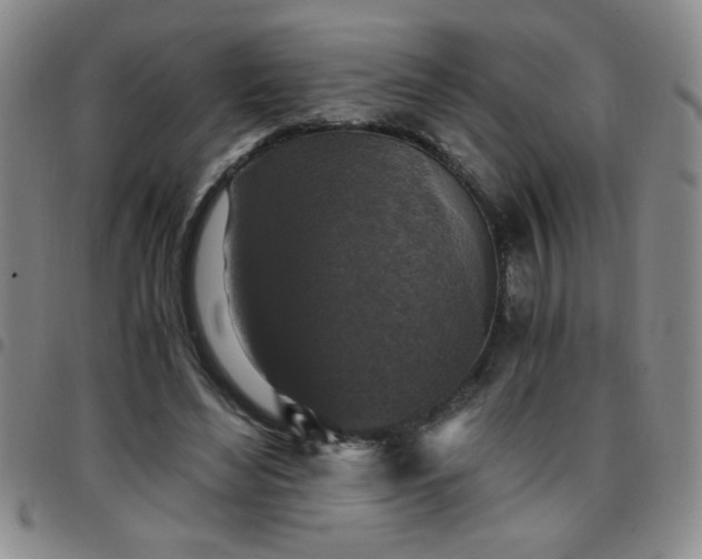 X0000097760492200803141726