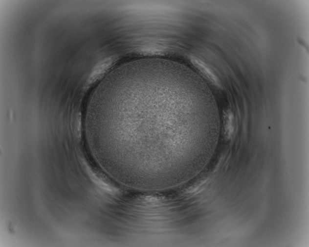 X0000097760494200803141726