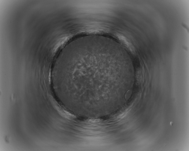 X0000097760495200803141726