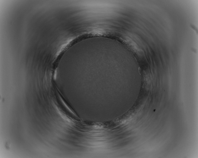 X0000097760496200803141726