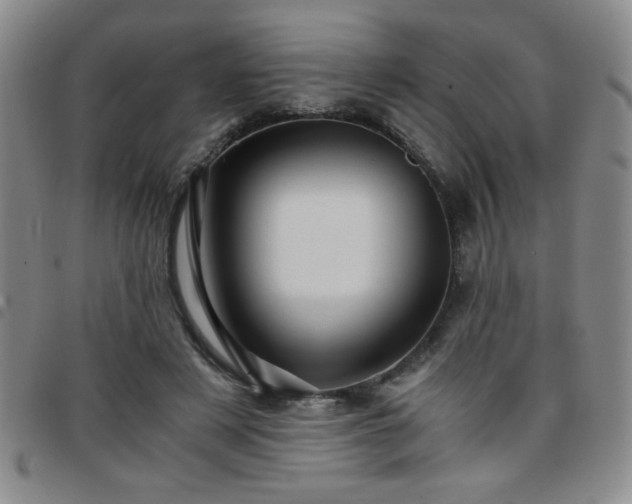 X0000097760497200803141726