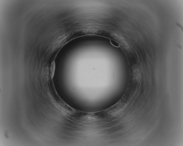 X0000097760498200803141726