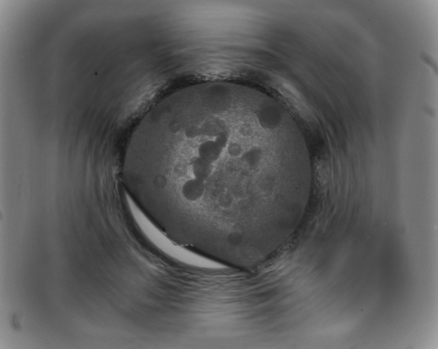 X0000097760499200803141726