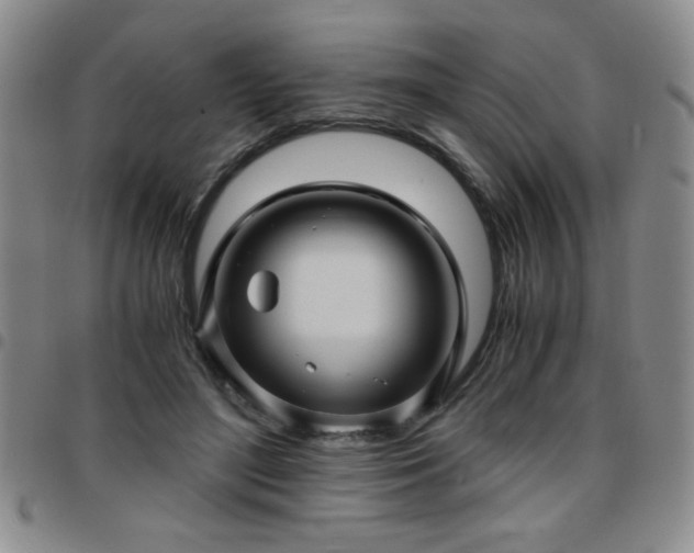 X0000097760500200803141726