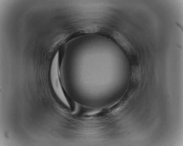 X0000097760501200803141726