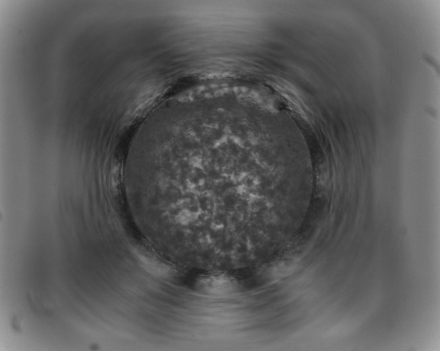 X0000097760503200803141726