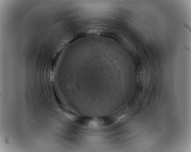 X0000097760504200803141726