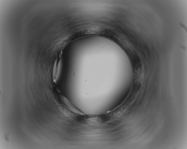 X0000097760505200803141726