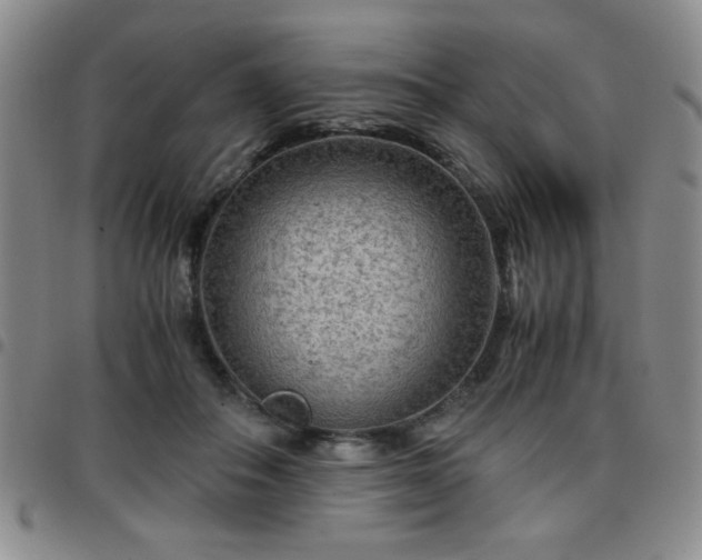 X0000097760506200803141726