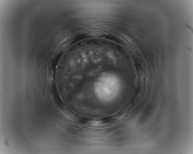 X0000097760507200803141726