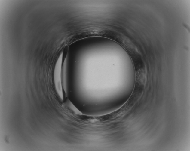 X0000097760509200803141726