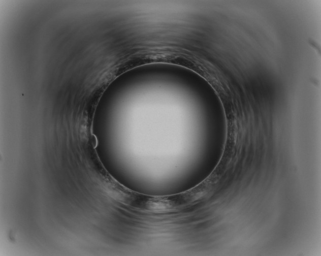 X0000097760510200803141726