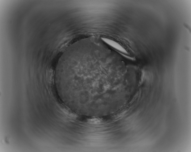 X0000097760511200803141726