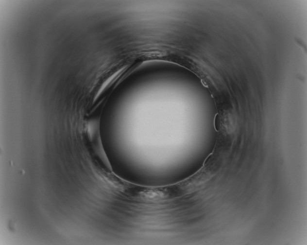 X0000097760512200803141726