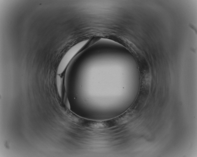 X0000097760513200803141726