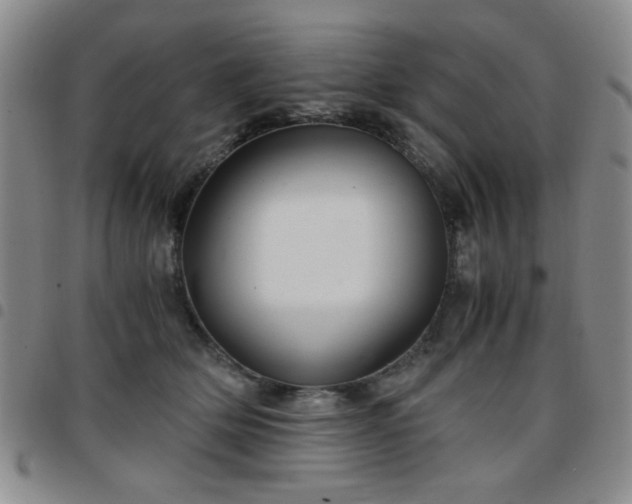 X0000097760514200803141726