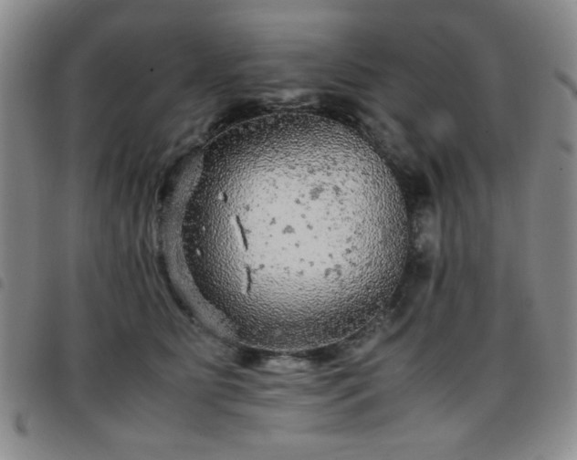 X0000097760515200803141726