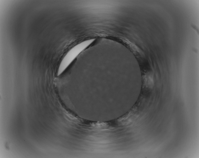 X0000097760517200803141726