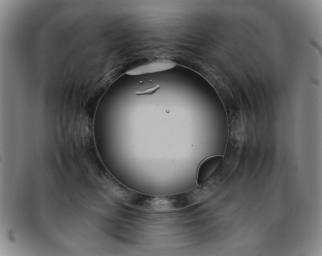 X0000097760518200803141726