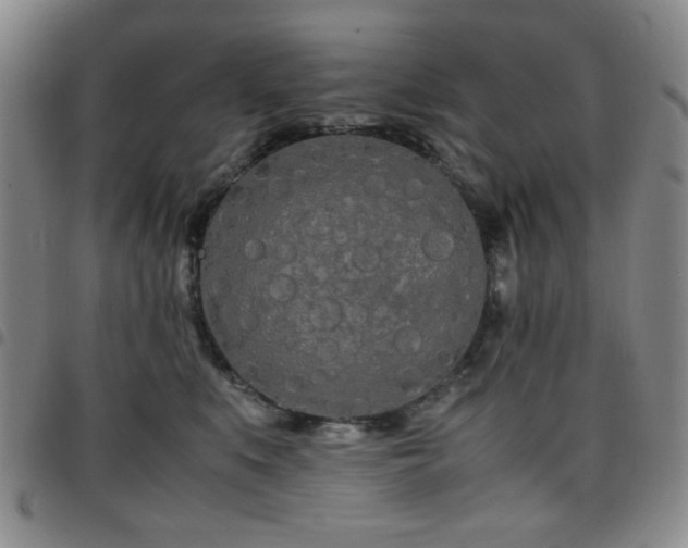 X0000097760519200803141726