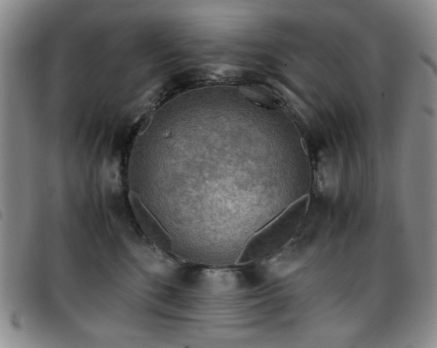 X0000097760520200803141726