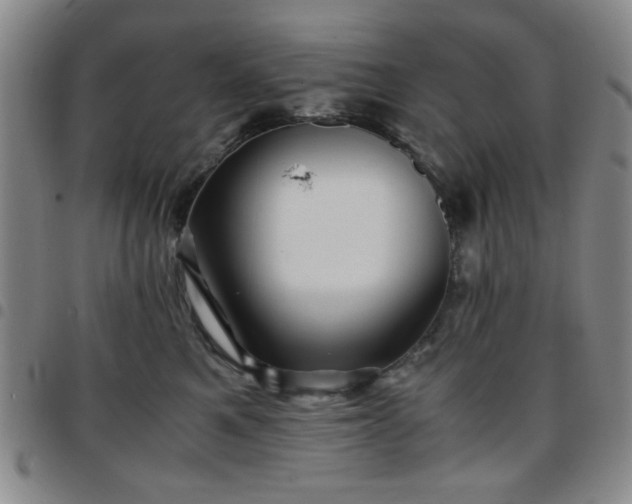 X0000097760521200803141726