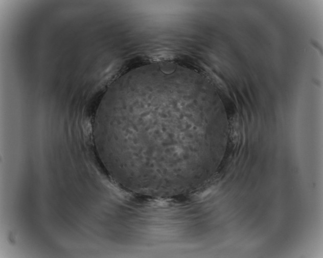 X0000097760523200803141726