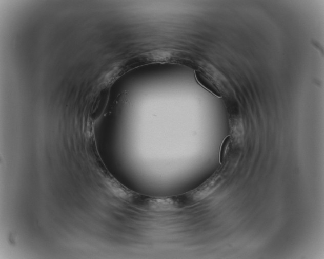 X0000097760525200803141726