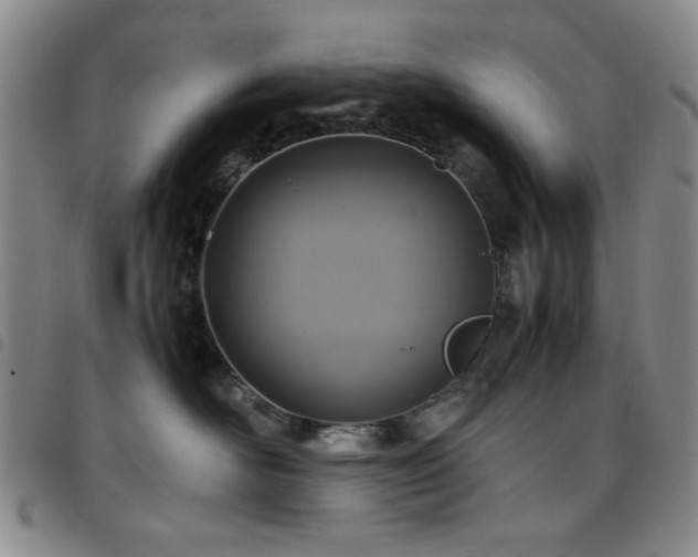 X0000097760526200803141726